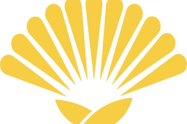 Лого на НДСВ, Жълто